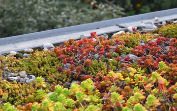 the cost of Althorne green roof installation