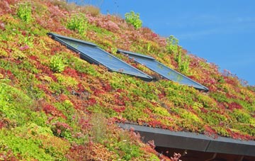 Althorne living roof systems